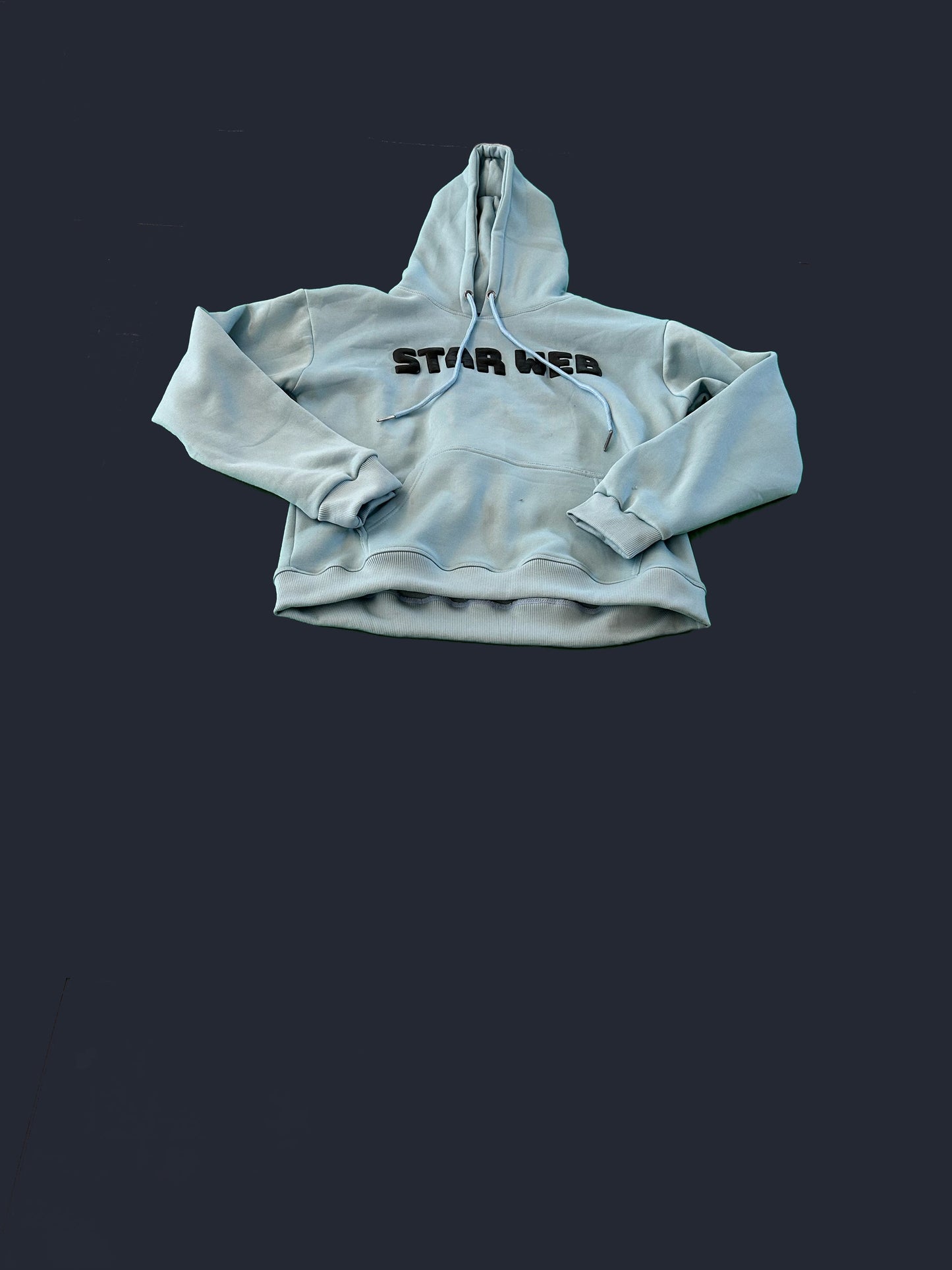 STARWEB Hoodie Puff Print